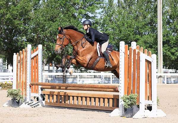 horse-riding-lessons-in-texas