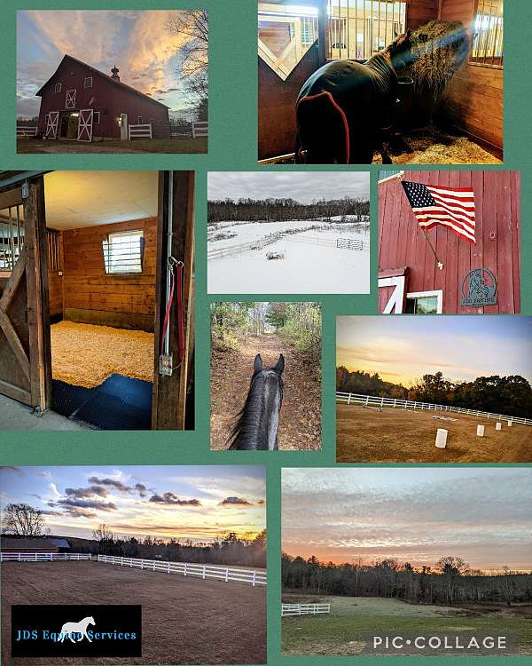 Horse training and full board available