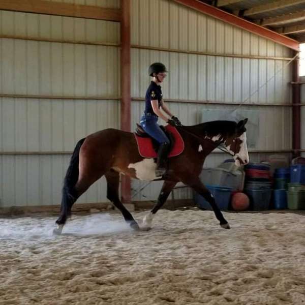 horse-trainers-in-kentucky