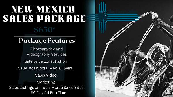 all-purpose-businesses-in-new-mexico