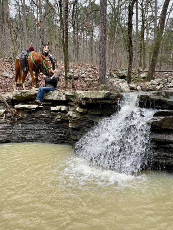 trail-businesses-in-hackett-ar