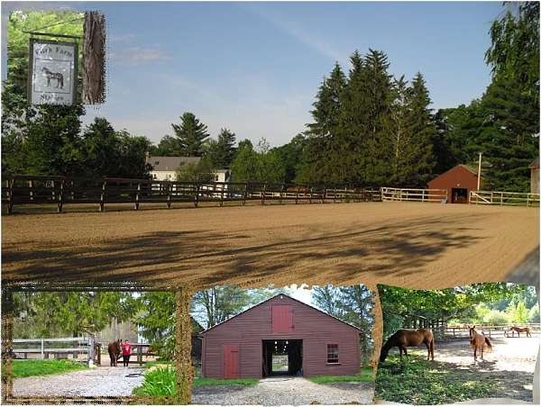 horse-equine-service-businesses-in-pepperell-ma