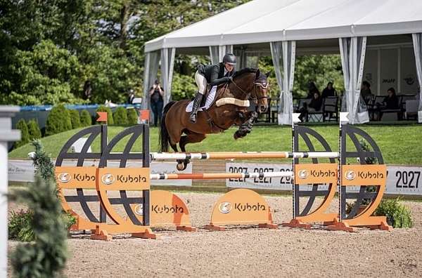 equine-boarding