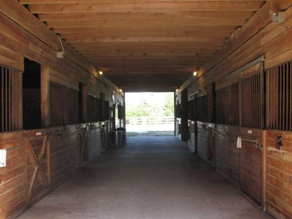 horse-boarding-in-loganville-ga