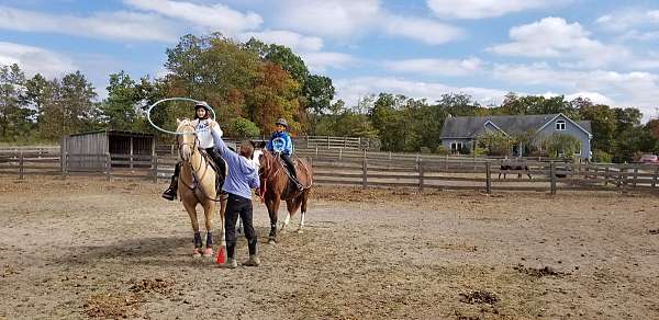 horse-riding-lessons-in-cross-junction-va