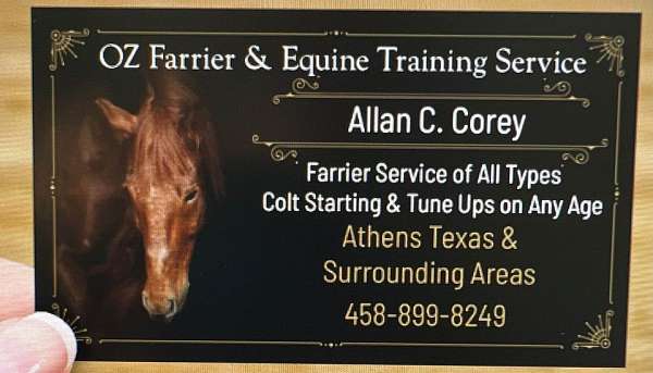 horse-trainers-in-athens-tx