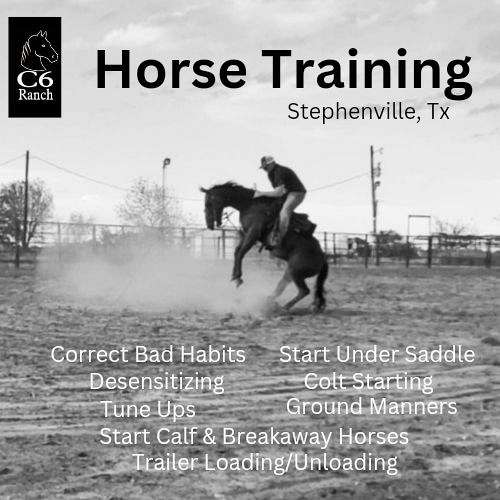 training-businesses-in-stephenville-tx