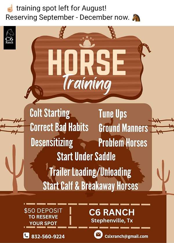 horse-trainers-in-stephenville-tx