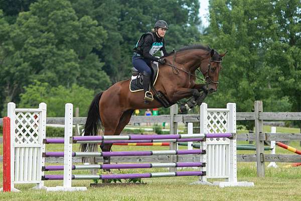 eventing-businesses-in-sherborn-ma