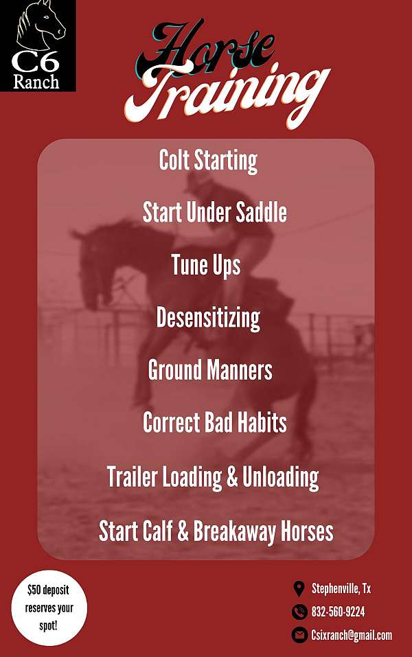 horse-equine-service-businesses-in-stephenville-tx