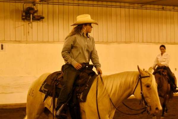 equine-riding-lessons