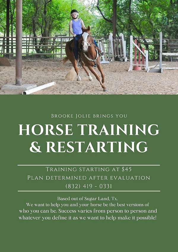 equine-trainers