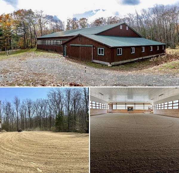 horse-equine-service-businesses-in-townsend-ma