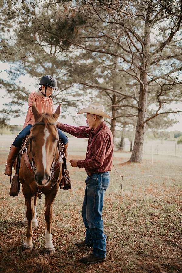 horse-boarding-in-texas