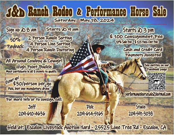 horse-auctions-in-jamestown-ca