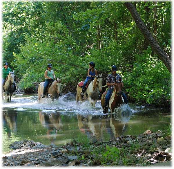 equine-trail-riding