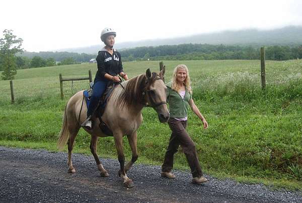 trail-horse-trail-riding