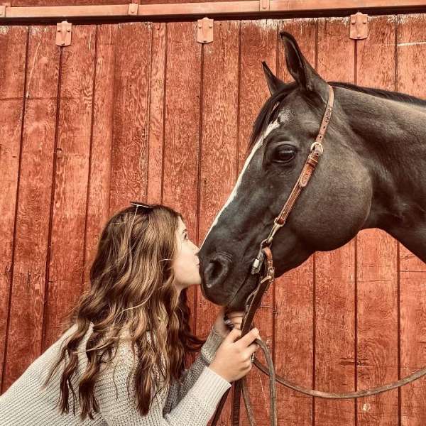 equine-riding-lessons