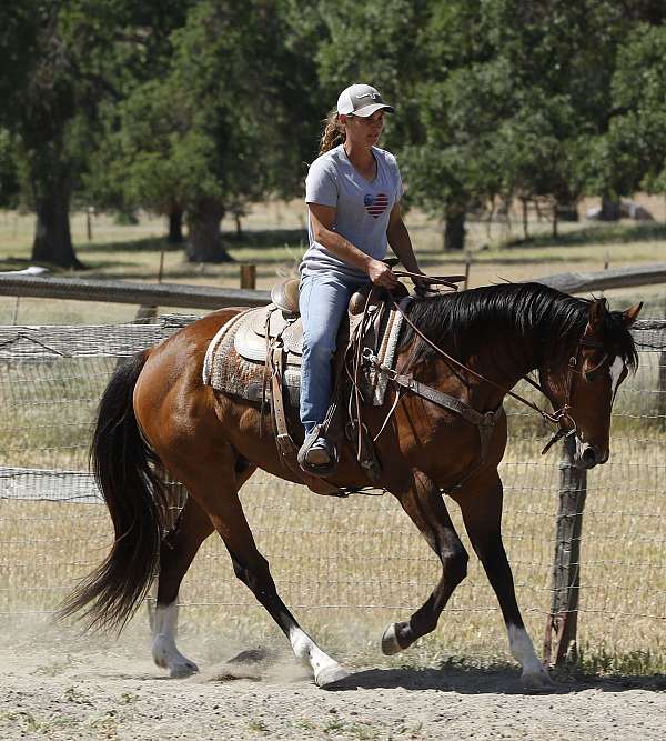 all-around-businesses-in-templeton-ca