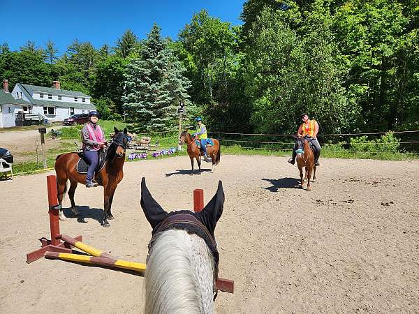 eventing-businesses-in-new-durham-nh