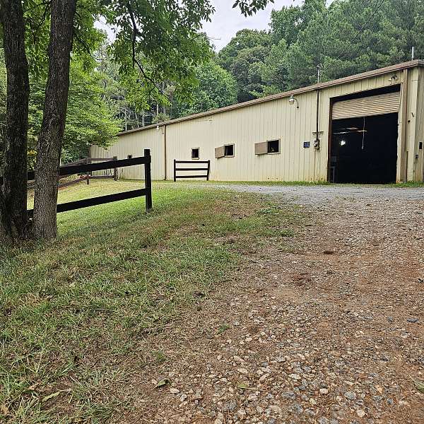 dressage-businesses-in-powder-springs-ga