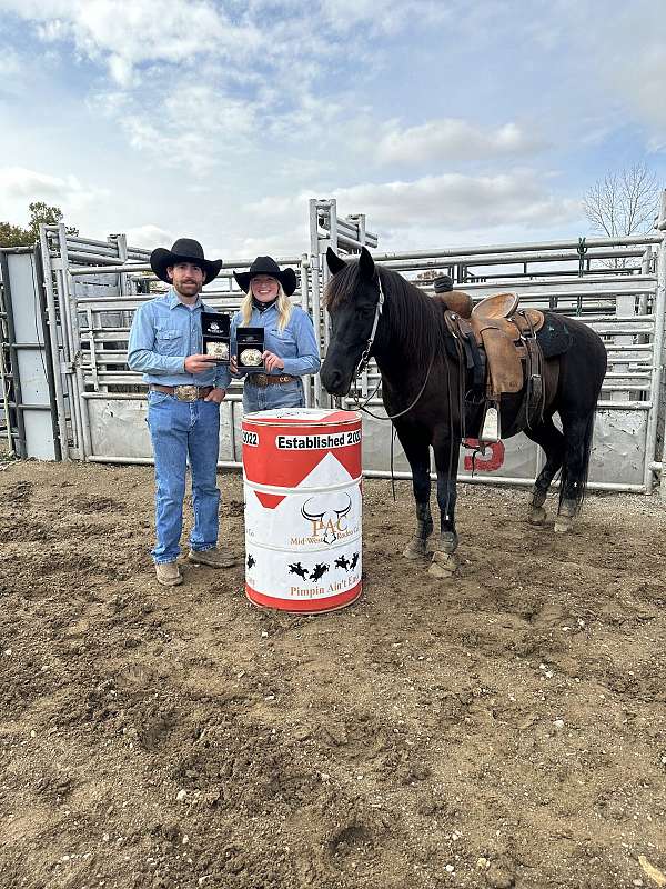 barrel-racing-businesses-in-indiana