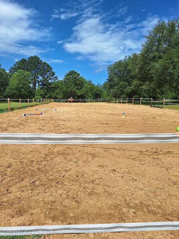 dressage-businesses-in-cottonwood-al