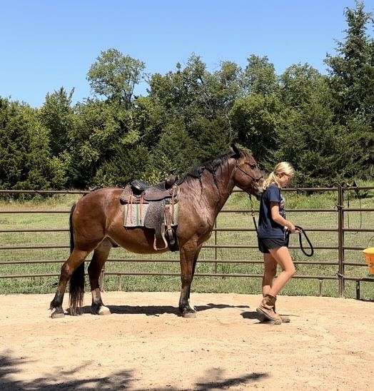 horse-riding-lessons-in-maysville-ok