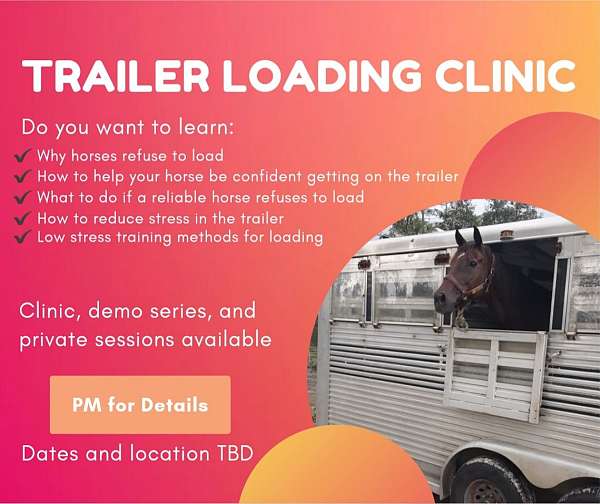 horse-trailers-in-morriston-fl