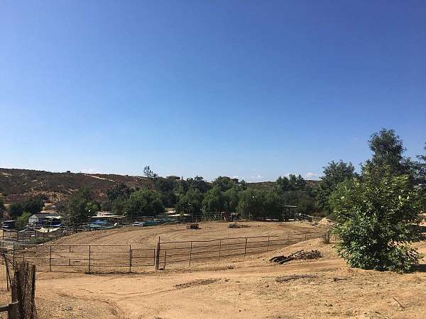 barrel-racing-businesses-in-jamul-ca