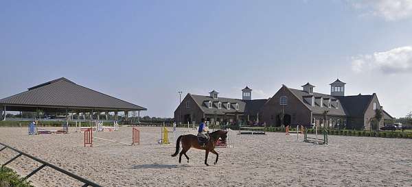 horse-boarding-in-louisiana