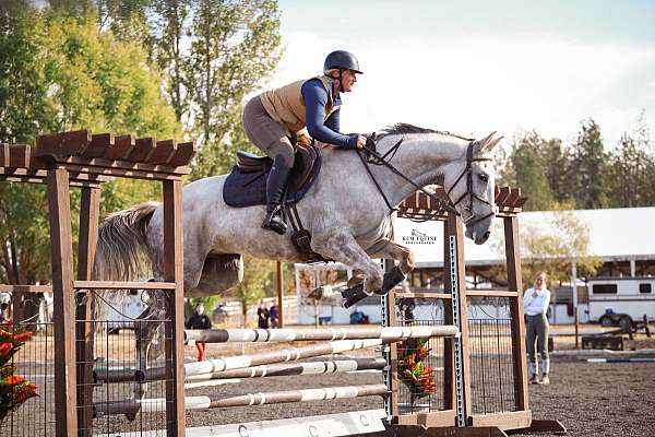 dressage-businesses-in-yakima-wa