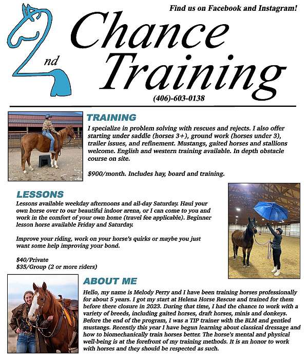 equine-trainers