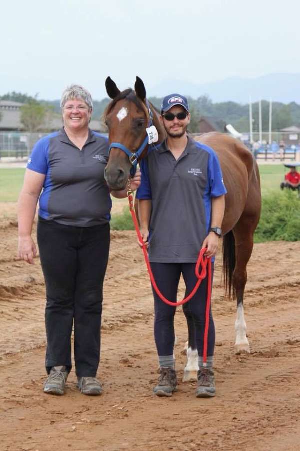 equine-general-equine-service