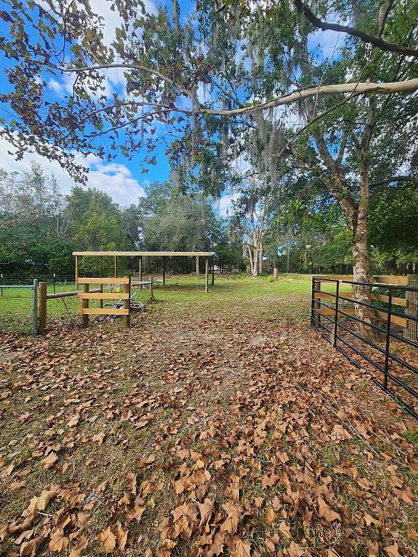 equine-boarding