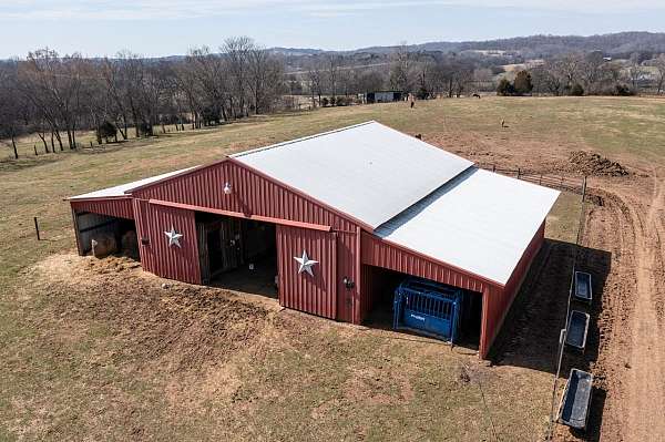 all-around-eventing-horse-equine-service