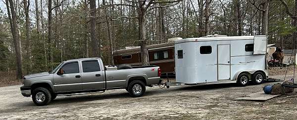 equine-transport