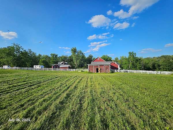 horse-boarding-in-pen-argyl-pa