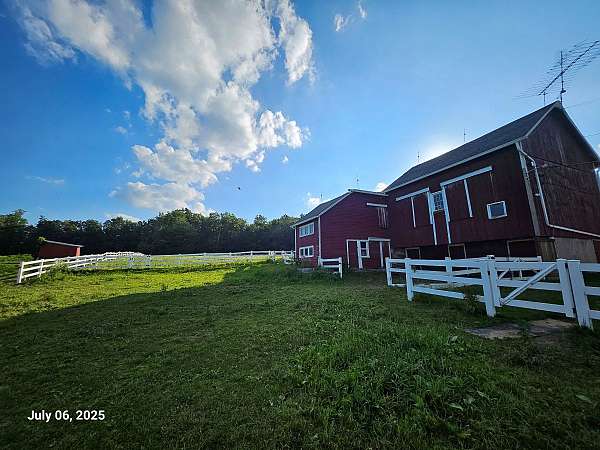 horse-equine-service-businesses-in-pen-argyl-pa