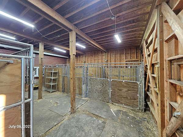 equine-boarding