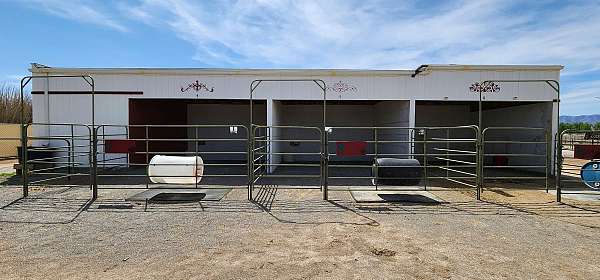 horse-boarding-in-pahrump-nv