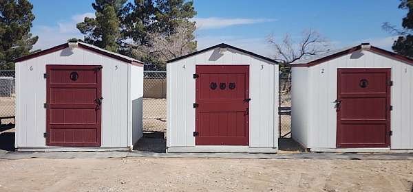 horse-equine-service-businesses-in-pahrump-nv