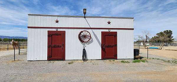 all-around-horse-equine-service