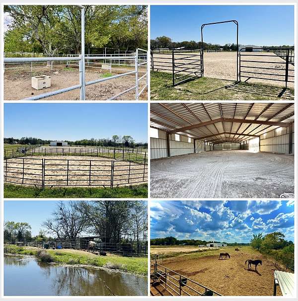 horse-boarding-in-bogata-tx