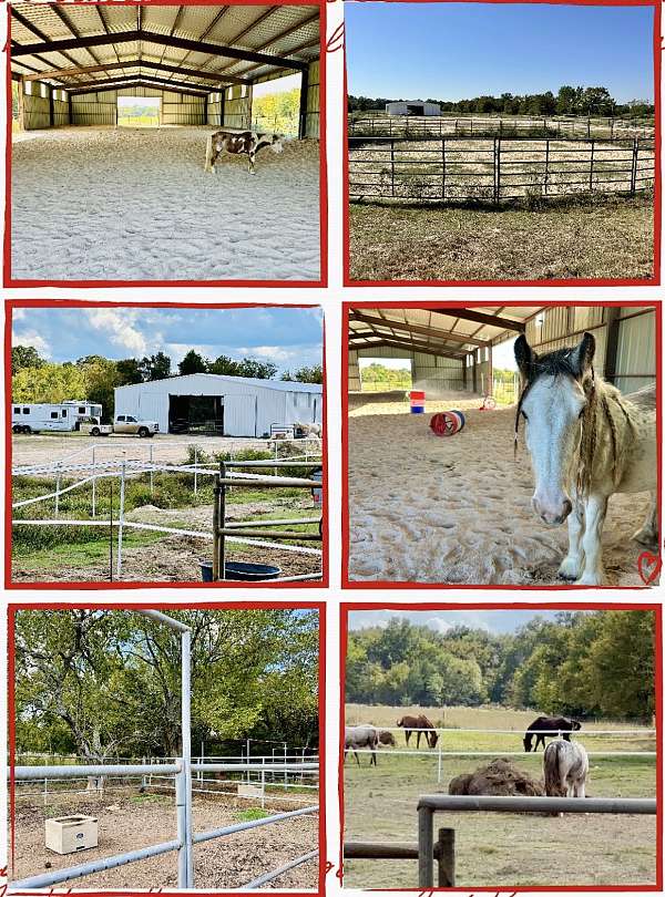 all-around-businesses-in-bogata-tx