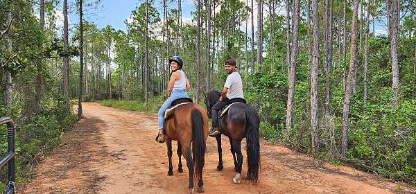 horse-boarding-in-santa-rosa-beach-fl