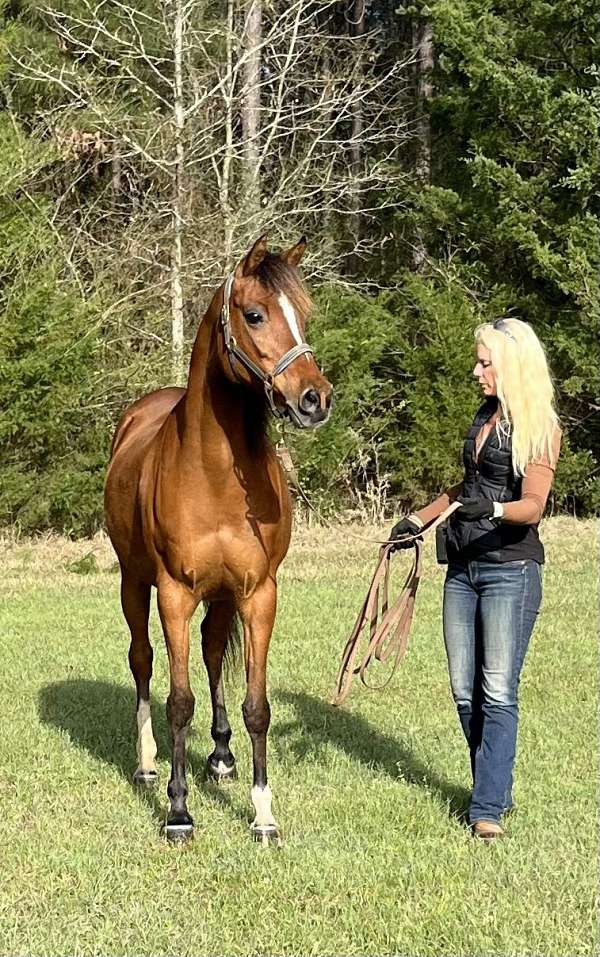 trail-businesses-in-bivins-tx