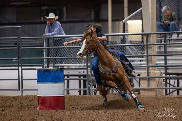 all-around-businesses-in-st-david-az