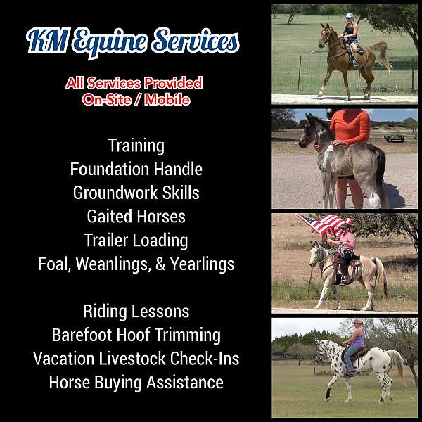 all-around-businesses-in-woodland-park-co