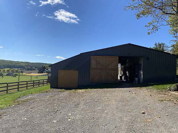 equine-boarding